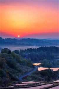 我死后，他践踏我的骨灰全章节阅读