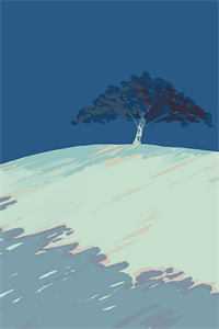 后宅升职记，我不小心站上巅峰了前言+后续