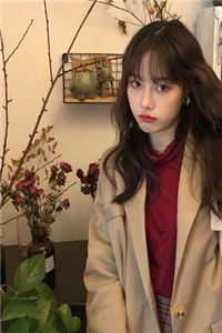 将傻子竹马扶上皇位后，我成炮灰了好书