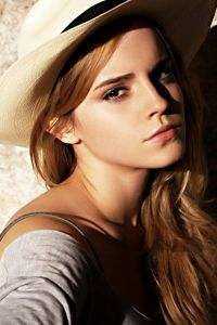 晚风不渡旧时洲小说在线阅读免费