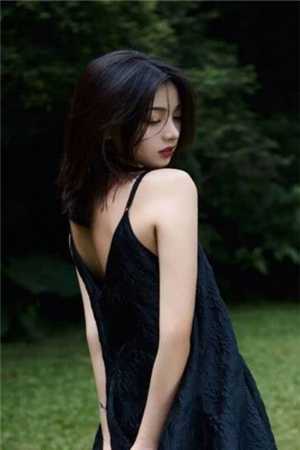 愿情如繁星可握在线阅读全本阅读