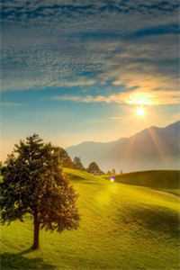 他只是经过最新章节列表