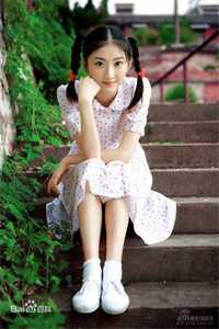 等一场风来信无删减+无广告