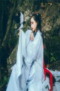 通房丫鬟低贱？绑生子系统当王妃新上热文