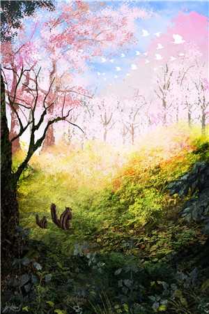 满目星河，终究是过客完整文集阅读