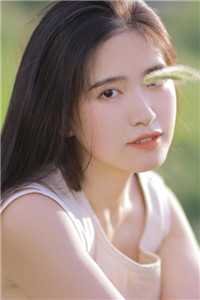 从此山河不逢君前文+