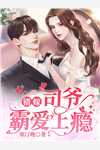 爱意将散后续+结局