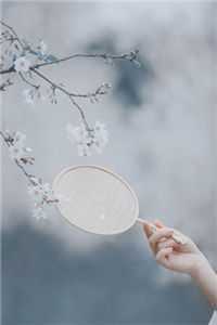 金店店大欺客，我直接让他破产全本