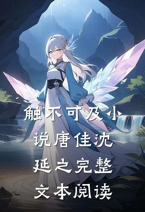 触不可及小说唐佳沈延之完整文本阅读