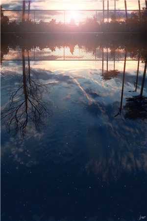 雾雪松宗淮雪礼雾全文