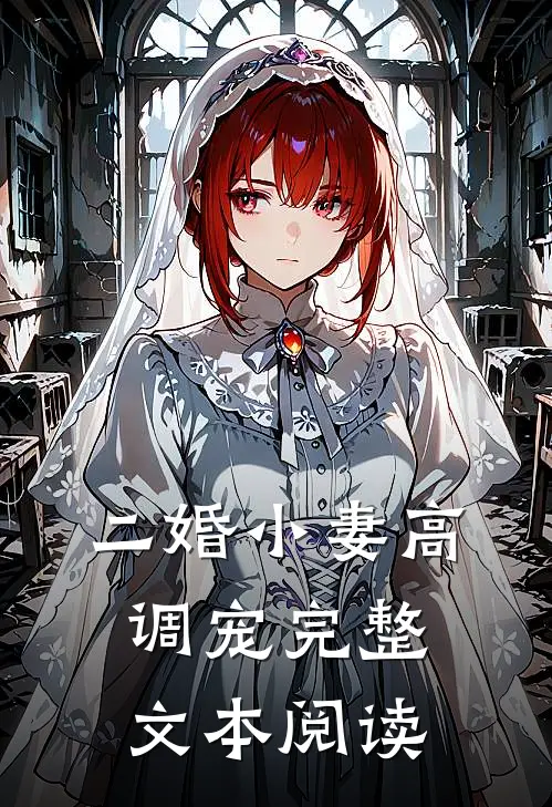 二婚小妻高调宠完整文本阅读