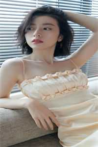 落日不曾回望我完结