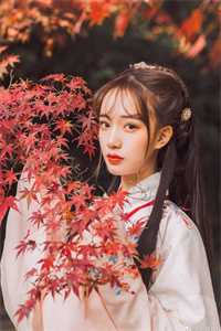 碎月不照两人心知乎