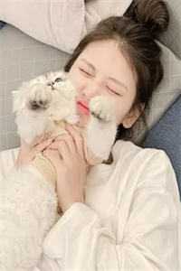 恋爱第七年，我放弃爱她小说在线阅读免费