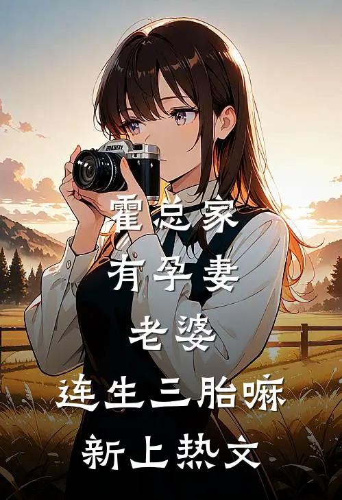 霍总家有孕妻：老婆，连生三胎嘛新上热文