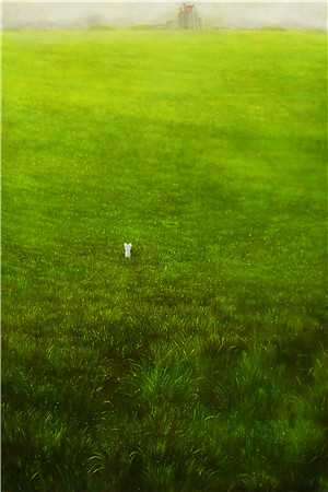 白月光佛系退场，系统和男主都懵了爆火全网