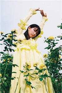 桐花深处是归途目录