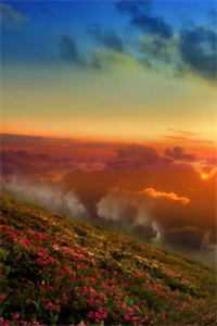 晚时风，吹散你无广告